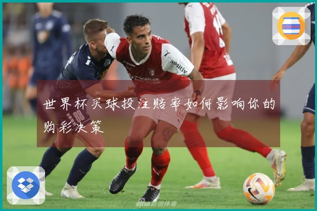 世界杯买球投注赔率如何影响你的购彩决策