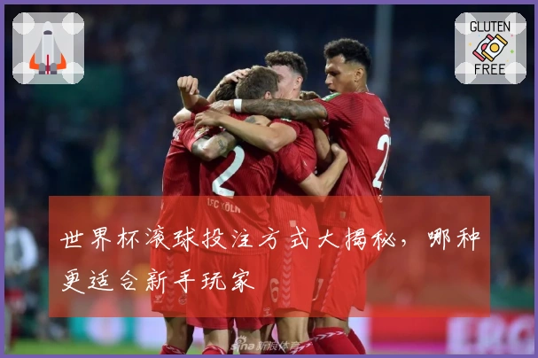 世界杯滚球投注方式大揭秘，哪种更适合新手玩家