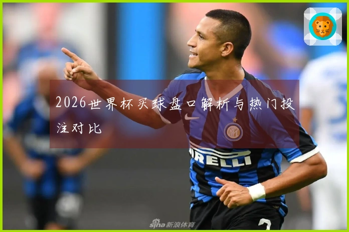 2026世界杯买球盘口解析与热门投注对比