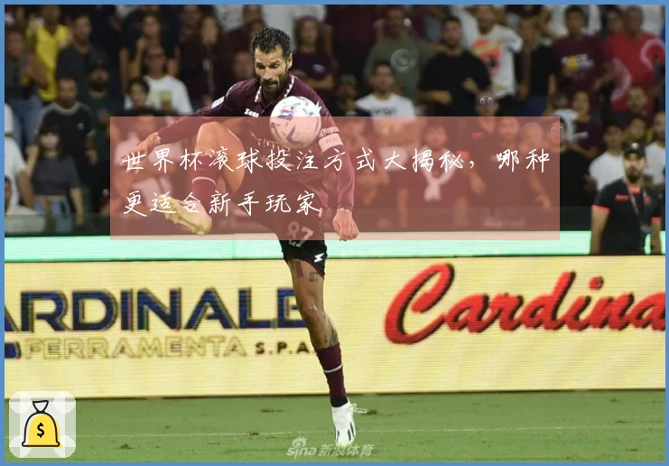 世界杯滚球投注方式大揭秘，哪种更适合新手玩家